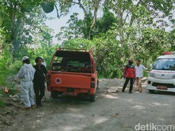 7 Warga Gemampir Klaten Diserang Tawon Gung-Dilarikan ke RS