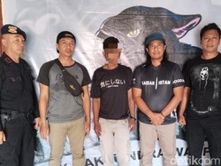 Ketua KPPS di Bima Dibacok di TPS, Pelaku Ditangkap