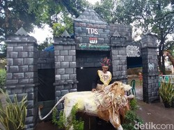 Saat King Kong Vs Harimau Berebut Tahta di TPS Majalengka