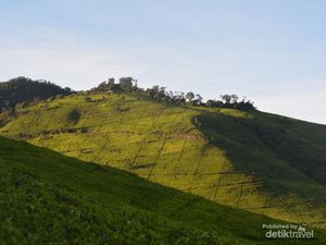 Puncak Sunan Ibu, Destinasi Spot Sunrise Kamu Selanjutnya Puncak Sunan Ibu, Destinasi Spot Sunrise Kamu Selanjutnya