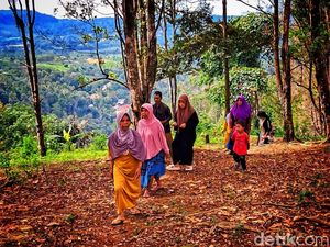 Berjalan 4 Km Menembus Hutan, Warga Kadubengkung Titip Harapan di TPS