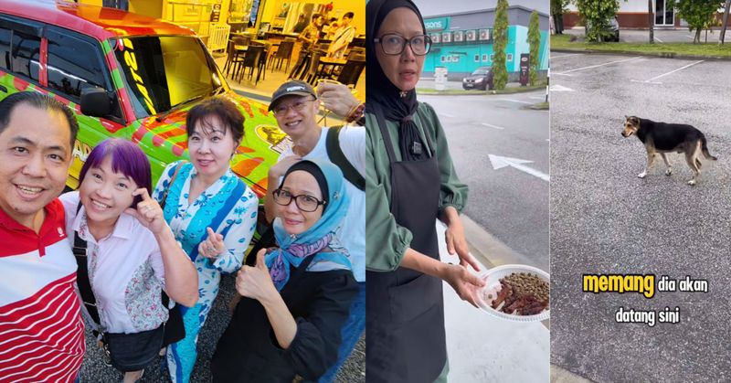 Beri Makan Anjing Liar, Resto Ini Jadi Terkenal dan Ramai Pengunjung