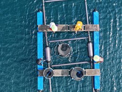 Idovin Aquaculture International Apresiasi Penelitian Fikom Unpad