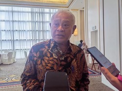 Suntik Mati PLTU Diminta Hati-hati, Ini Alasannya