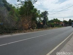 Pohon Keropos Tumbang Timpa 3 Motor dan Mobil di Pasuruan, 1 Orang Luka Parah Pohon Keropos Tumbang Timpa 3 Motor dan Mobil di Pasuruan, 1 Orang Luka Parah