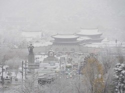 Hujan Salju di Seoul Pecahkan Rekor, Lumpuhkan Penerbangan-Penyeberangan