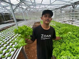 Pahit-Manis Aap Menjadi Petani Milenial Pahit-Manis Aap Menjadi Petani Milenial