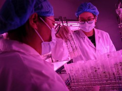 3 Pekerjaan yang Tidak Akan Hilang Digantikan AI Menurut Bill Gates, Apa Saja?