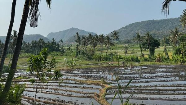 Momen Kiper Timnas Maarten Paes dan Luna Bijl Liburan di Bali
