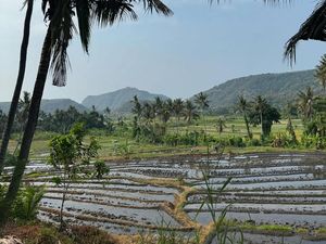 Momen Kiper Timnas Maarten Paes dan Luna Bijl Liburan di Bali Momen Kiper Timnas Maarten Paes dan Luna Bijl Liburan di Bali