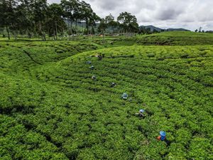 4 Wisata Murmer untuk Libur Lebaran di Kabupaten Bandung