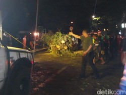 Marak Pohon Tumbang, Pakar ITS Beberkan Faktor Penyebab Selain Cuaca