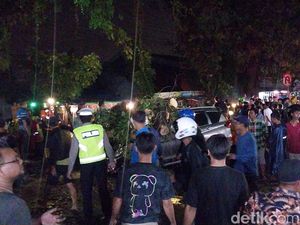 Pohon Tumbang di Malang Timpa Sejumlah Kendaraan, 2 Orang Meninggal Pohon Tumbang di Malang Timpa Sejumlah Kendaraan, 2 Orang Meninggal