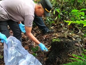 Heboh Penemuan Kerangka Manusia di Hutan Toba, Polisi Selidiki
