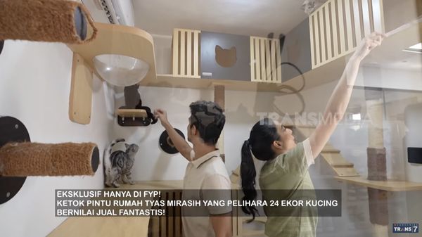 10 Potret Rumah Mewah Tyas Mirasih dan Tengku Tezi, Dihuni 24 Kucing Mahal
