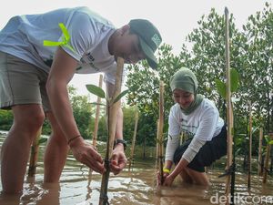 Aksi Menanam 2.500 Mangrove untuk Kelestarian Bumi