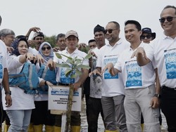 Menteri LH Hanif Faisol Siapkan Peta Detail Sebaran Mangrove Tahun Depan