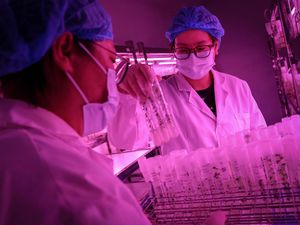 Para Ilmuwan Terkemuka Ini Pindah ke China di 2024