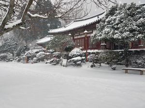 Salju Turun Hebat di Korea Selatan, Korban 6 Orang