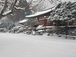 Turis Indonesia ke Luar Negeri Mencari Pengalaman Berbeda, Salju Misalnya