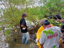 Mayat Pria Berbaju Batik Tersangkut di Pohon Bakau Patereman Bangkalan