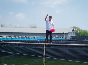KKP Akan Tebar Benih Nila Salin Siklus 2 di BINS Karawang