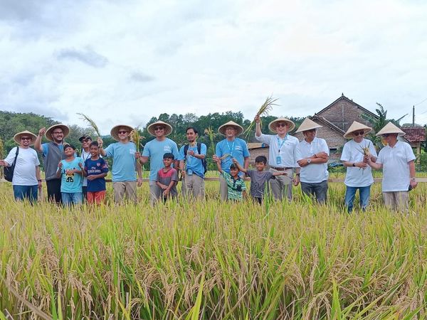 PIS Gelar Panen Raya di Sleman, Bantu Petani Tingkatkan Produksi 20%