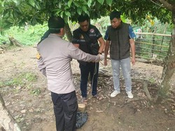 Depresi Adik Meninggal, Nenek 80 Tahun di Mura Gantung Diri di Pohon Sawo