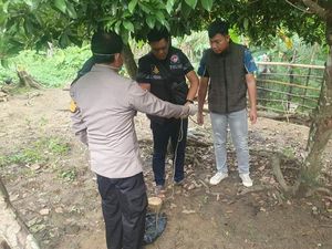 Depresi Adik Meninggal, Nenek 80 Tahun di Mura Gantung Diri di Pohon Sawo Depresi Adik Meninggal, Nenek 80 Tahun di Mura Gantung Diri di Pohon Sawo