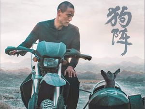 Black Dog, Film Tiongkok Peraih Penghargaan Cannes Tayang di Indonesia