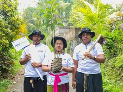 Program BRI Menanam Jadi Komitmen BRI dalam Dukung Pelestarian Lingkungan