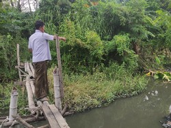 Teror Buaya di Sungai Klurak Sidoarjo, Begini Imbauan BBKSDA