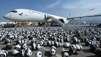 Hong Kong Luncurkan Tur Panda untuk Genjot Kunjungan Wisata