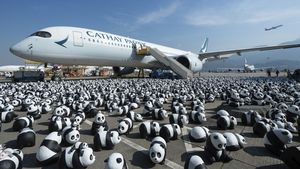 Hong Kong Luncurkan Tur Panda untuk Genjot Kunjungan Wisata