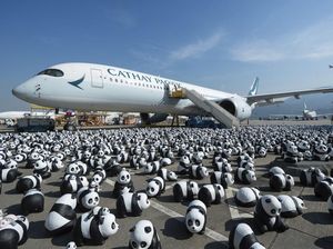 Hong Kong Luncurkan Tur Panda untuk Genjot Kunjungan Wisata Hong Kong Luncurkan Tur Panda untuk Genjot Kunjungan Wisata