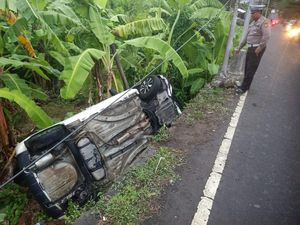 Sopir Ngantuk, Mobil Terperosok ke Kebun Pisang di Abiansemal Sopir Ngantuk, Mobil Terperosok ke Kebun Pisang di Abiansemal
