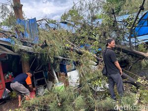 Jakarta Diguyur Hujan Deras Disertai Angin, Sejumlah Pohon Tumbang