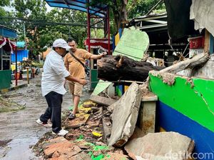 BPBD DKI Catat Ada 10 Pohon Tumbang, 2 Mobil dan 1 Motor Tertimpa