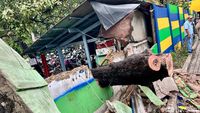 Penampakan Pohon Tumbang Diterjang Angin Kencang di Pasar Senen