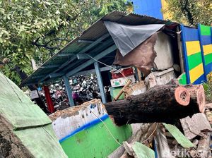 Penampakan Pohon Tumbang Diterjang Angin Kencang di Pasar Senen