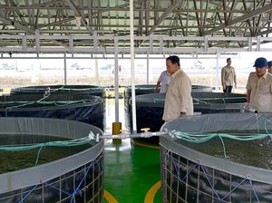 Istana: Prabowo Bakal Sidak ke Titik Pembagian Makan Bergizi Gratis