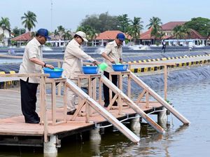 Prabowo Kunjungi Tambak Ikan Nila di Karawang, buat Pasok Makan Bergizi Gratis