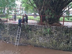 Cerita Sang Pemadam Api di Bandung Selamatkan Kucing yang Jatuh ke Sungai