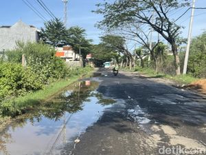 Awas! Jalan Clangapan-Pamotan Rembang Rusak Parah Bikin Pemotor Celaka