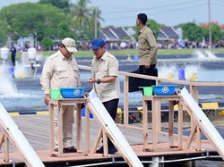 Dukung Makan Bergizi Gratis, KKP Tebar Benih Kedua Ikan Nila Salin