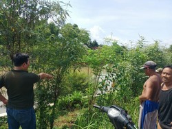 Bermain di Sungai, Siswa Kelas 4 SD di Mojokerto Tewas Terseret Arus