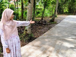 Viral Warga Purworejo Bangun Jalan Bermodal Saweran TikTok, Begini Faktanya