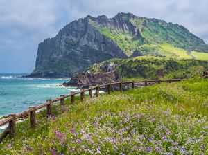 Viral di Drakor, Ini Alasan Haenyeo Jeju Kuat Menyelam Tanpa Oksigen Viral di Drakor, Ini Alasan Haenyeo Jeju Kuat Menyelam Tanpa Oksigen