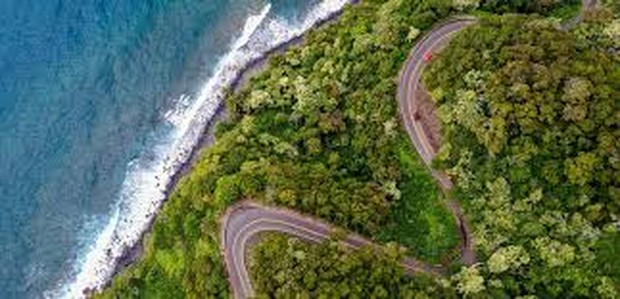 Road to Hana/Foto: Dok. Luxury Travel Diary rekomendasi tempat di Maui untuk bulan madu
