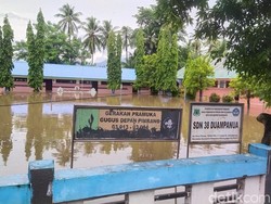 Banjir Rendam 200 Rumah-100 Ha Kebun Salak gegara Sungai Meluap di Pinrang